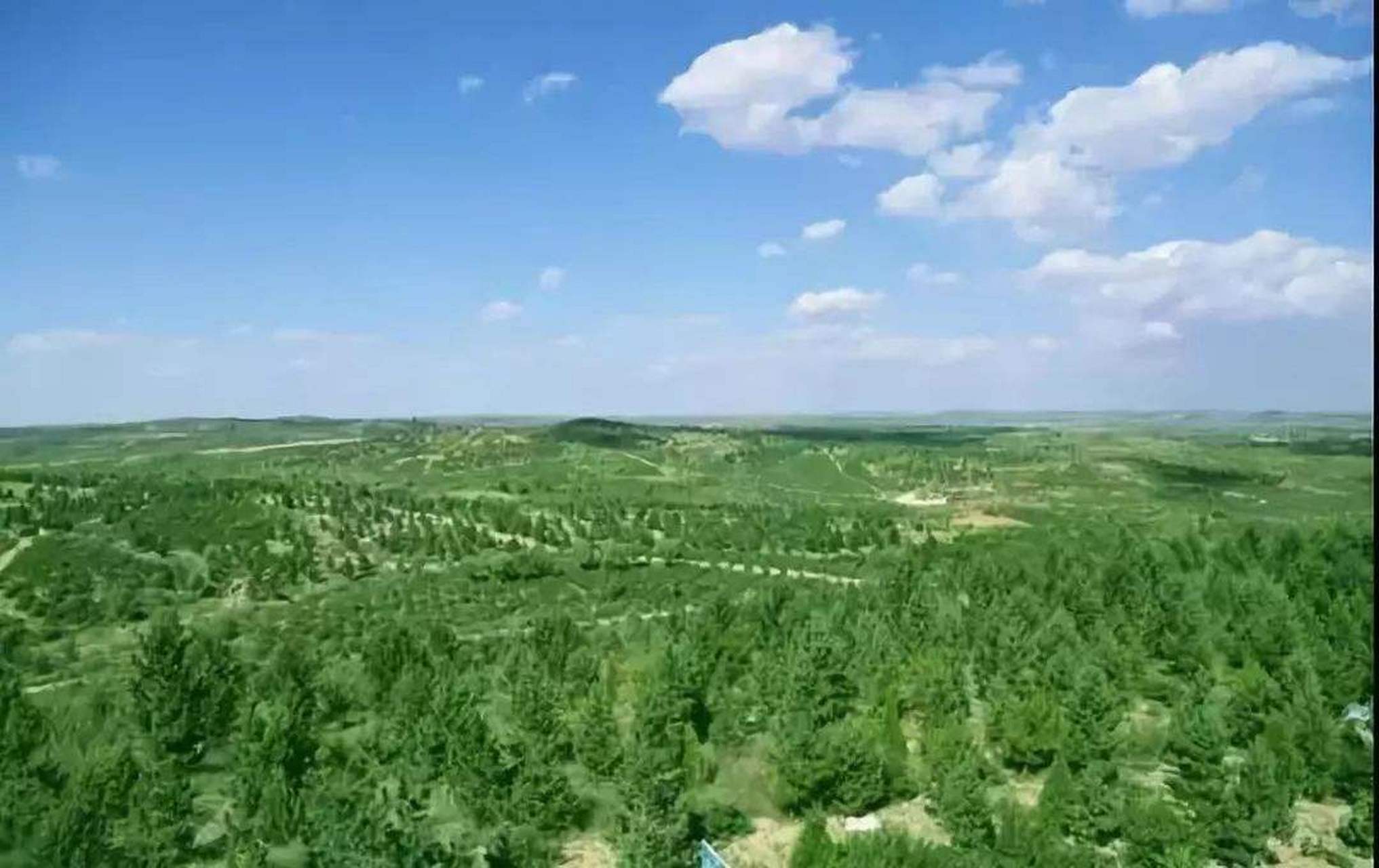 毛乌素沙漠即将消失.