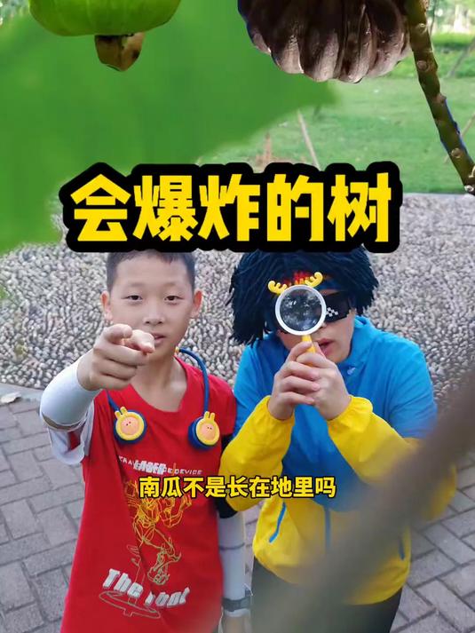 沙盒树,这种树多刺有毒,果实还会爆炸哦!