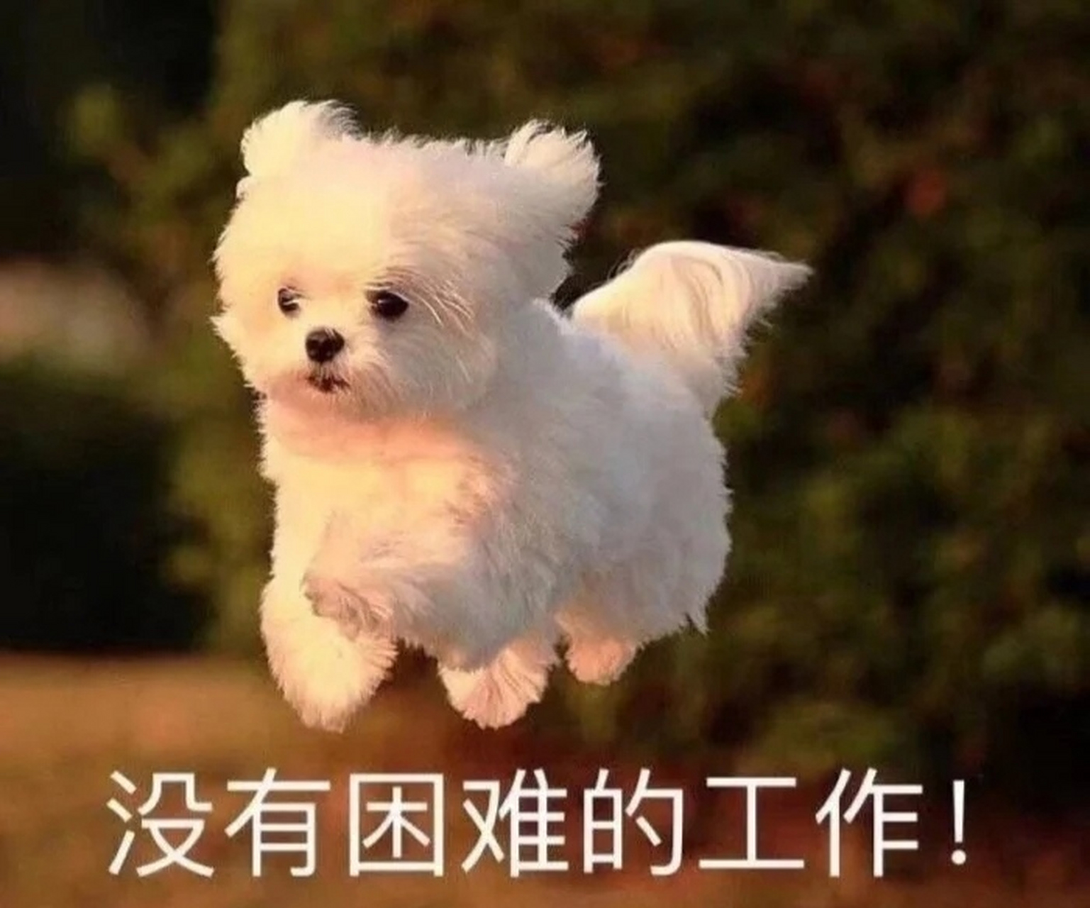 小伙伴们,明天又是周一了,打工人们都来跟我大声朗