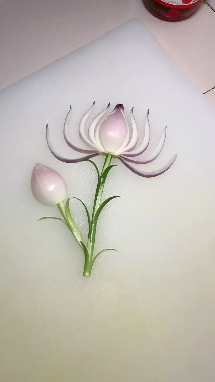 创意洋葱小荷花