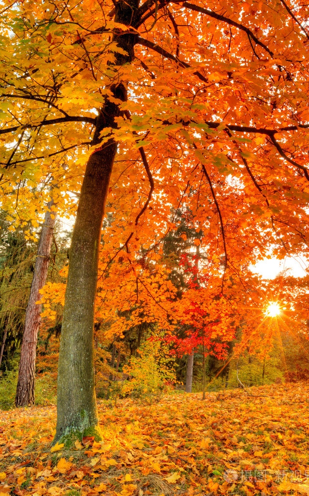 人生中每一个平淡的日子都值得尊重,每一处身边的风景都值得欣赏