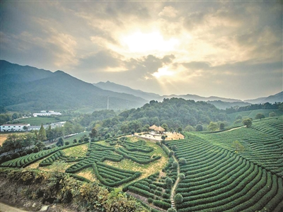 西湖深处的隐世小村-双灵村