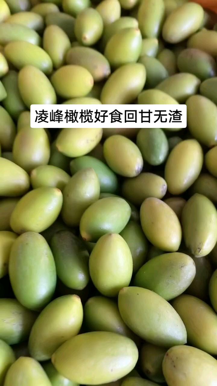 凌峰橄榄好食回甘无渣