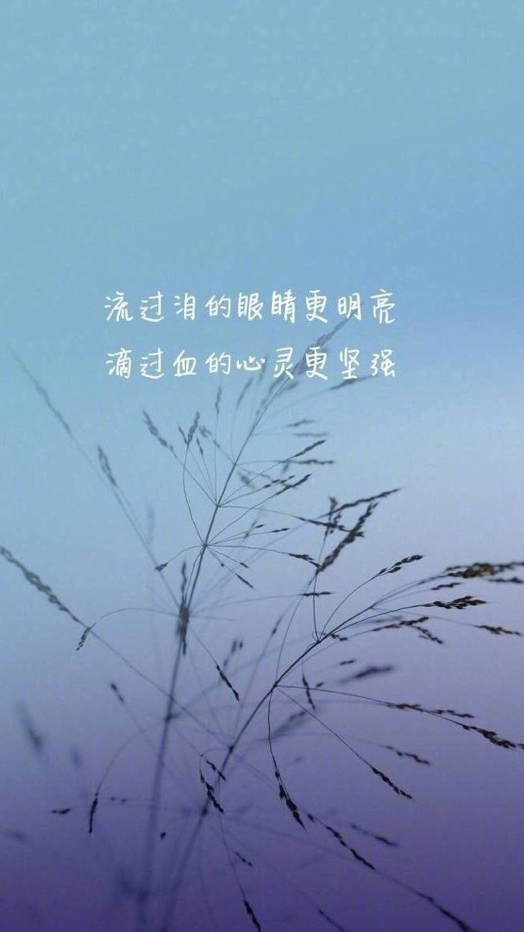 老土豆怪许女士没有给yc定期做检查,以致策策患上癌症