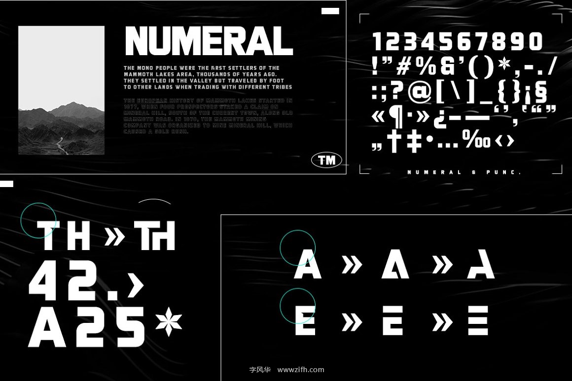 ElevenFit - Sport Typeface-2.jpg