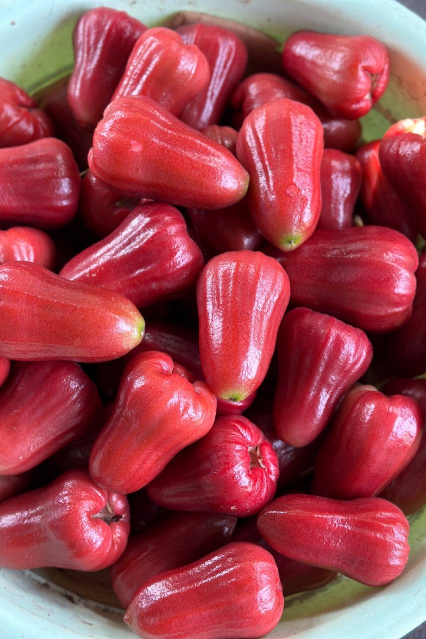 黑金刚莲雾是一种来自三亚核心产区的莲雾品种,以其独特的甜味和清爽