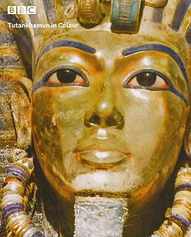 《 Tutankhamun in Colour》王者传奇魔魂殿攻略