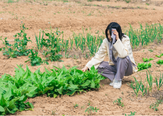 清华儿子交农村女友遭母亲拆散,最后二人殉情,留下遗产600万