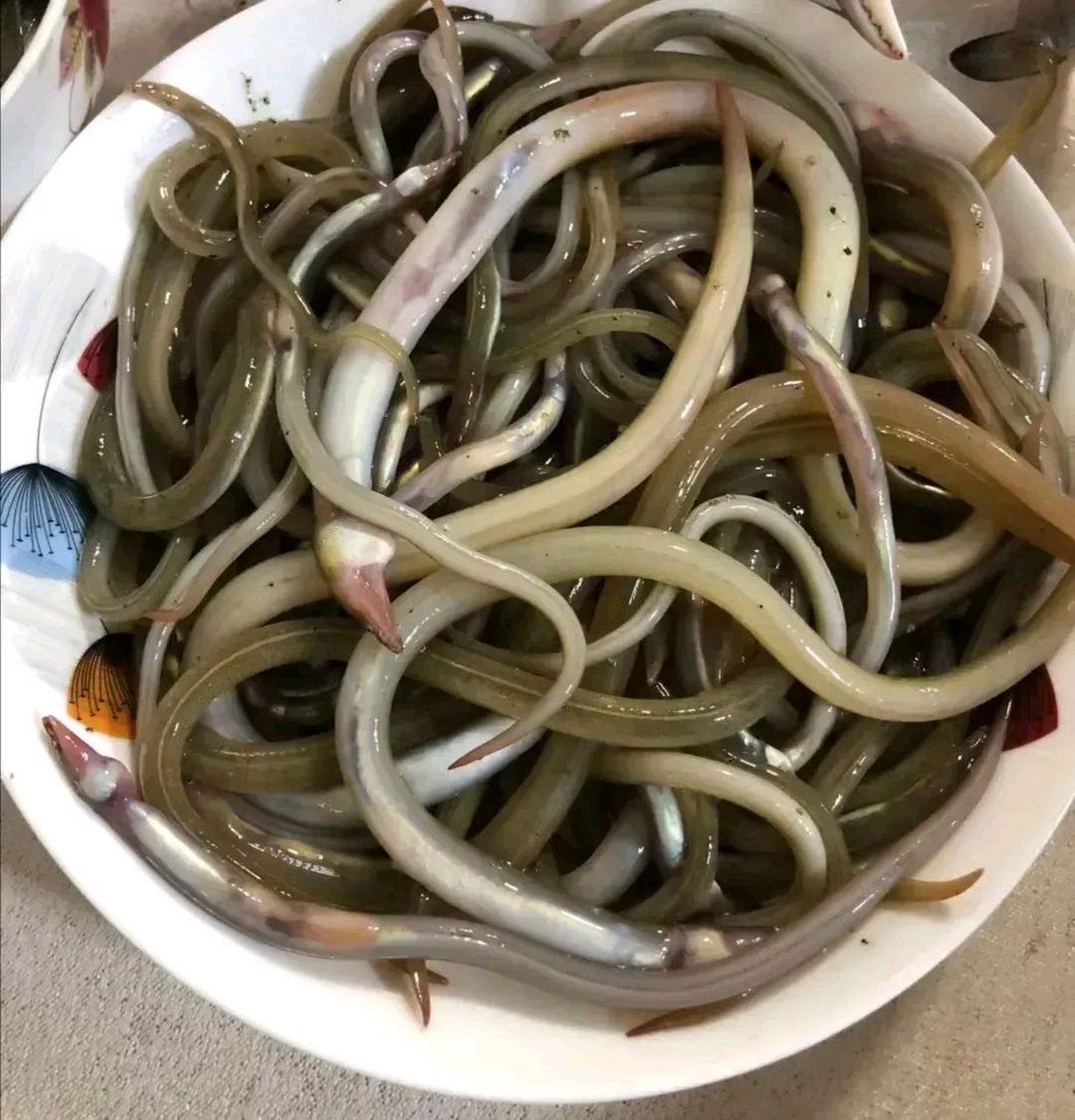 公公在河里抓到的小鱼,体型修长而且浑身滑溜溜的.