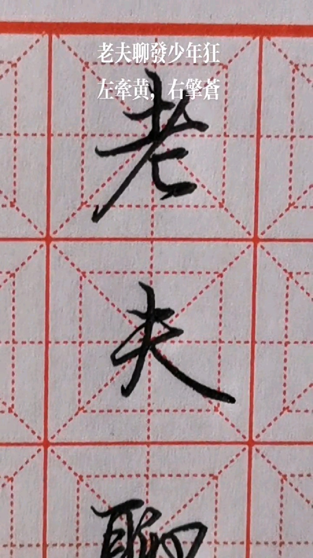 硬笔行书写苏轼老夫聊发少年狂