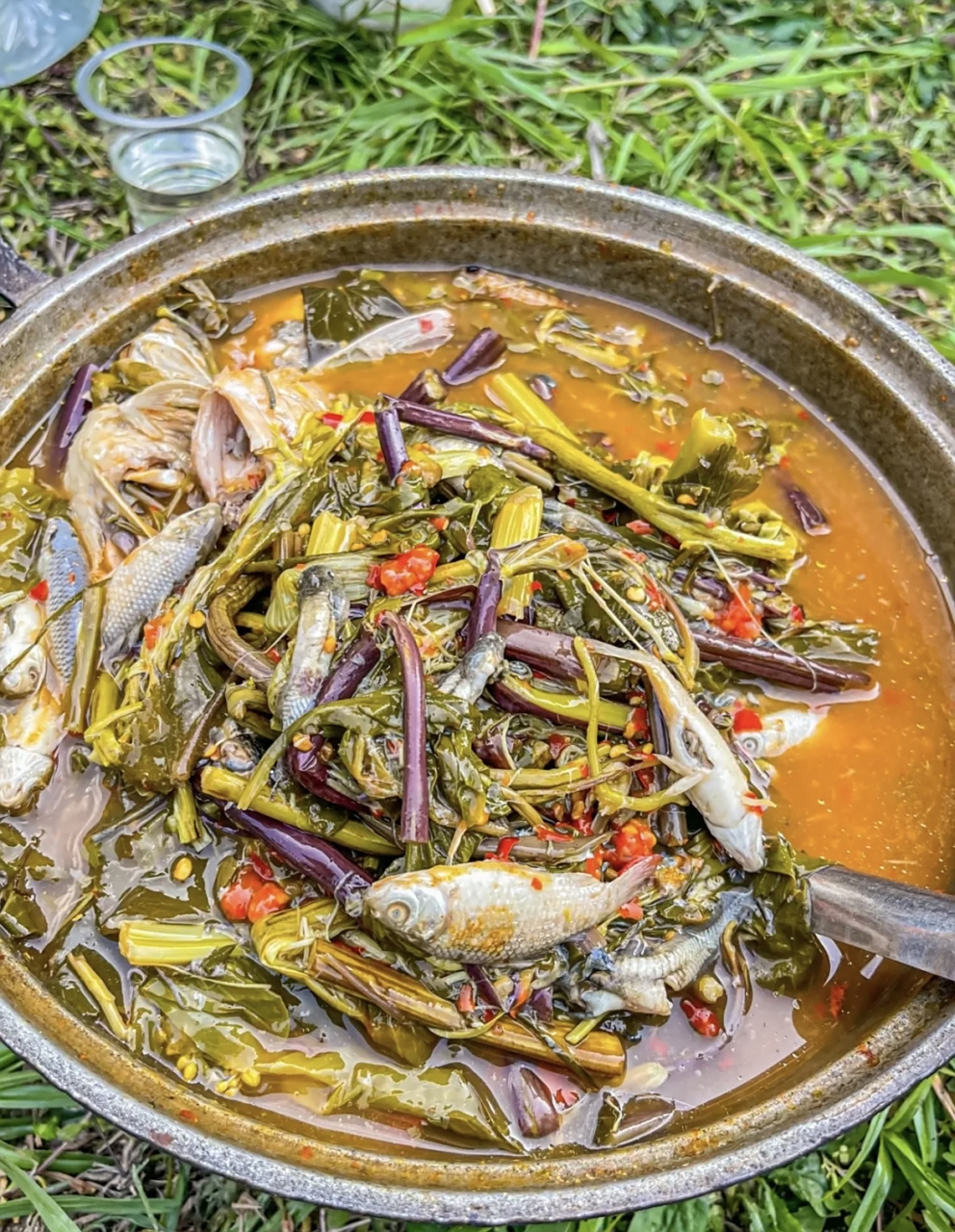 苗族菜,感觉很好吃的样子