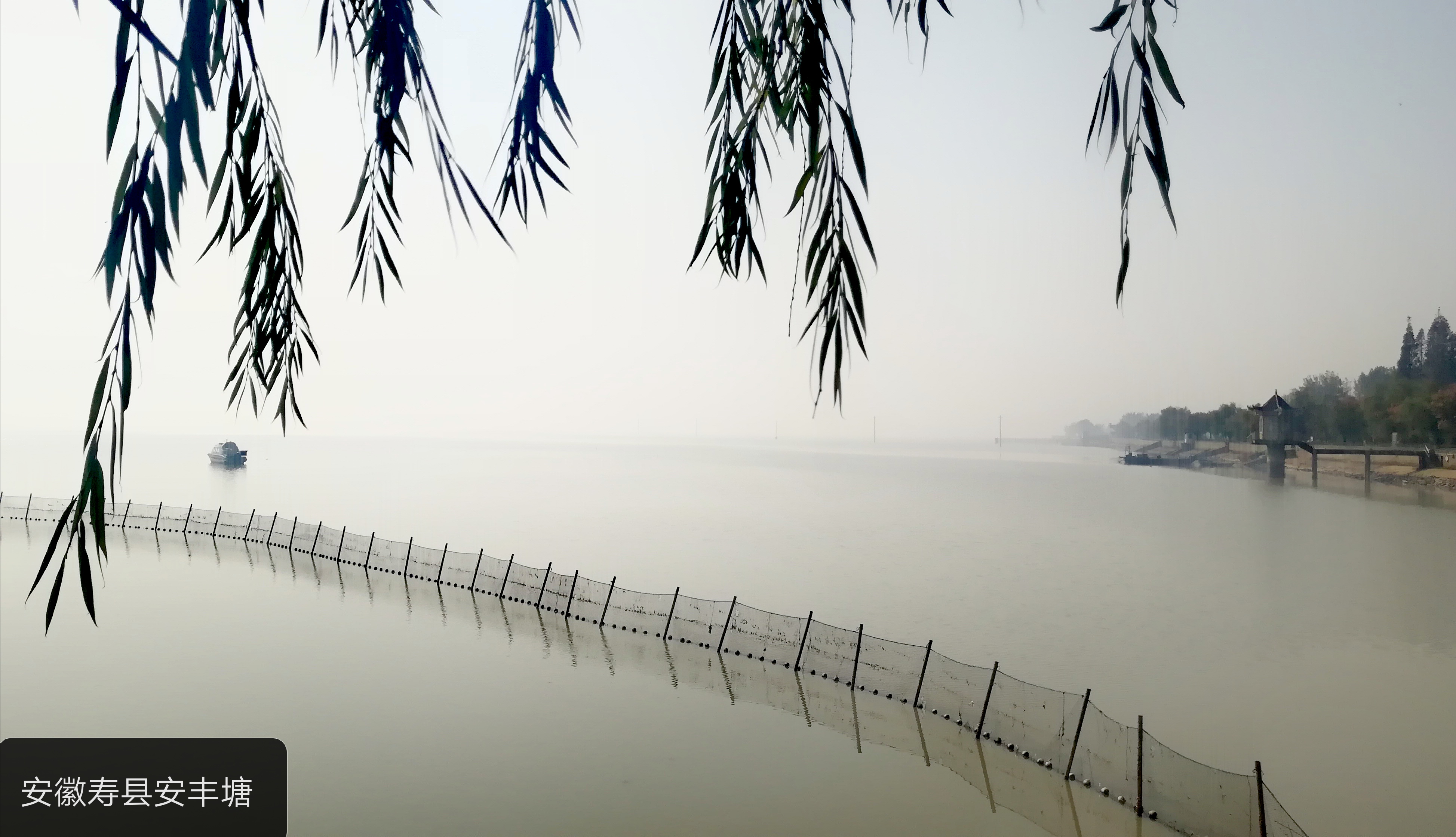 恩泽万代的安丰塘