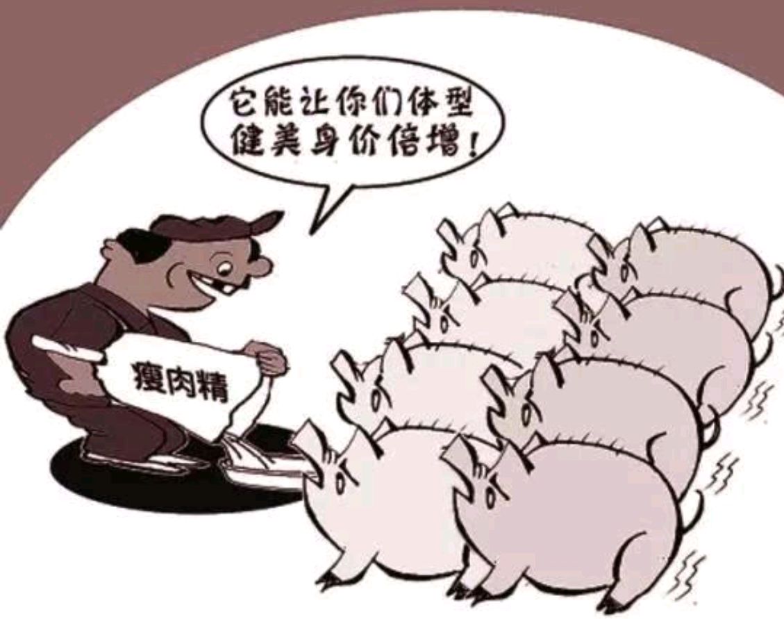 怎样鉴别瘦肉精猪肉?