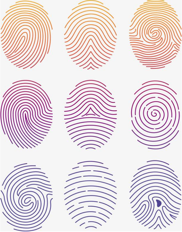 "一螺穷二螺富,三螺四螺卖豆腐",小时候,奶奶也帮我看过手相