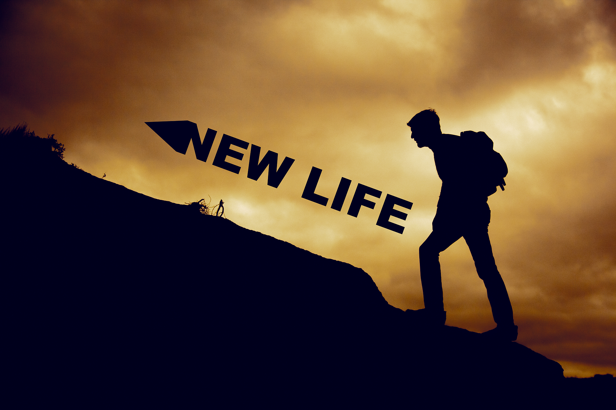 历史的智慧:激励年轻人振作精神