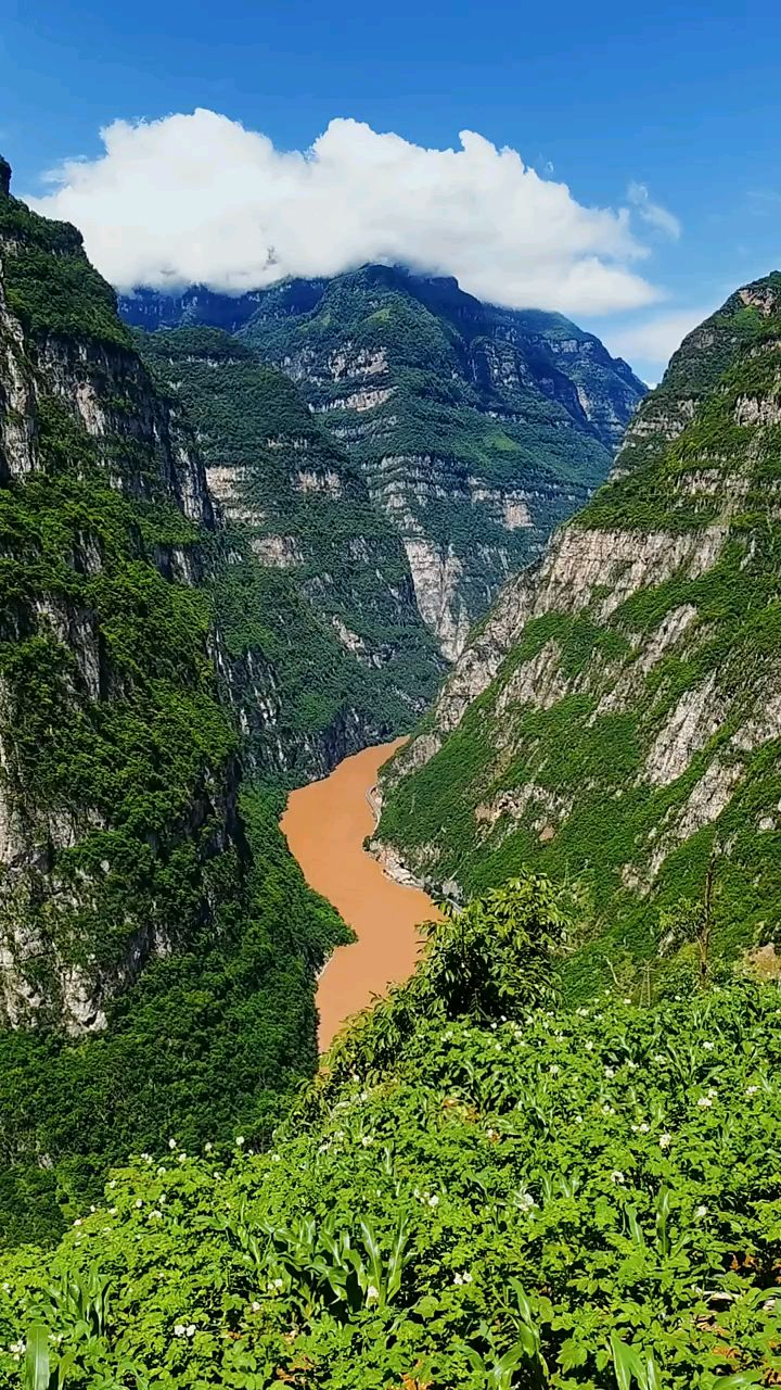 大渡河金口大峡谷