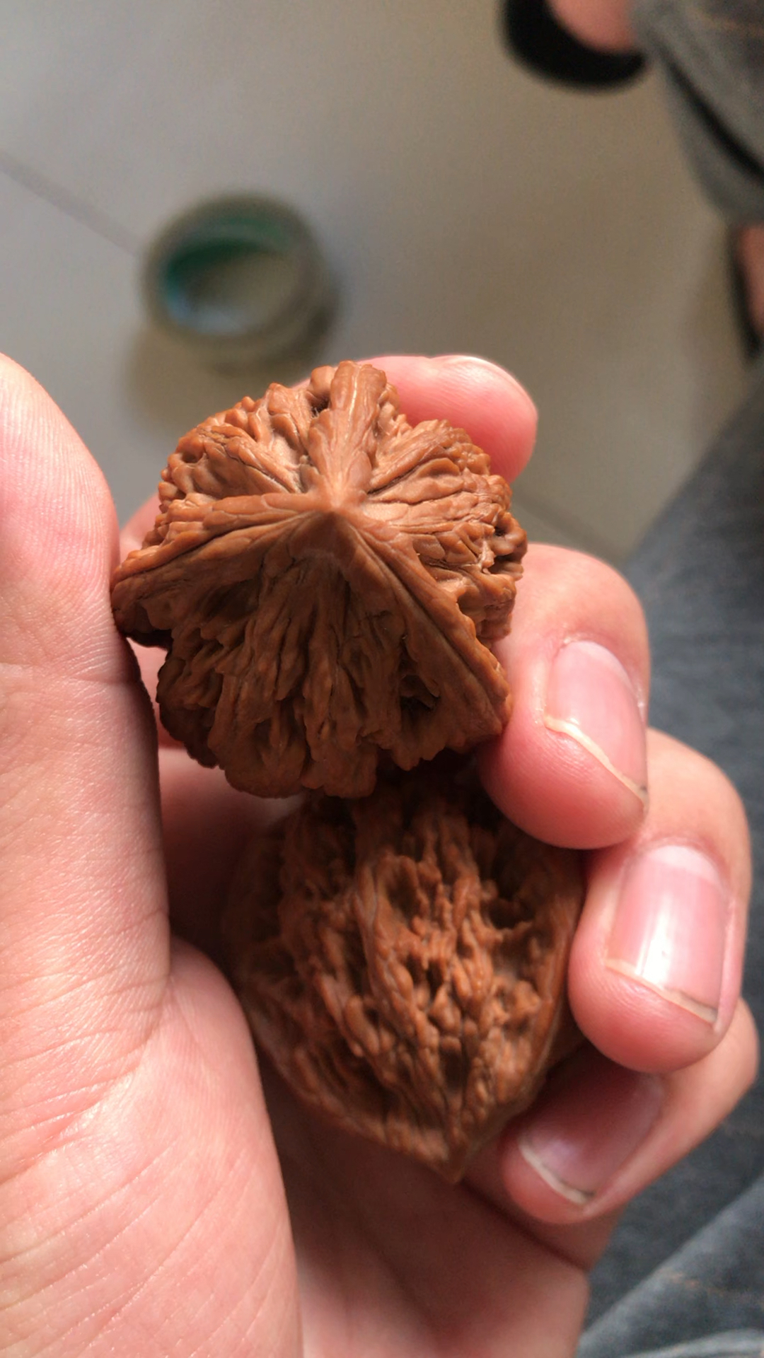 文玩核桃虎头三棱全品无修最大的尺寸