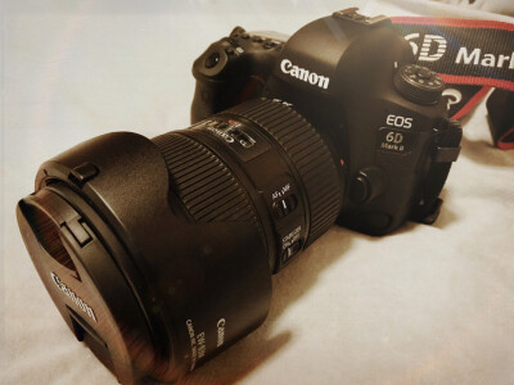 佳能6d2和5d4拍摄图片对比,佳能6d2和尼康d810对比  佳能6d2也还不错