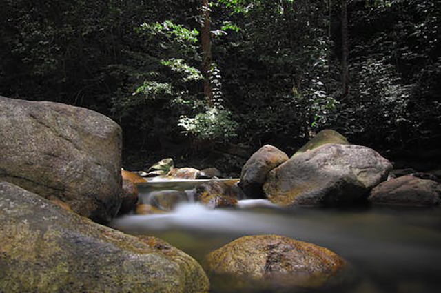 茅山道士异界游（茅山道士异界游主角被绿的情节）