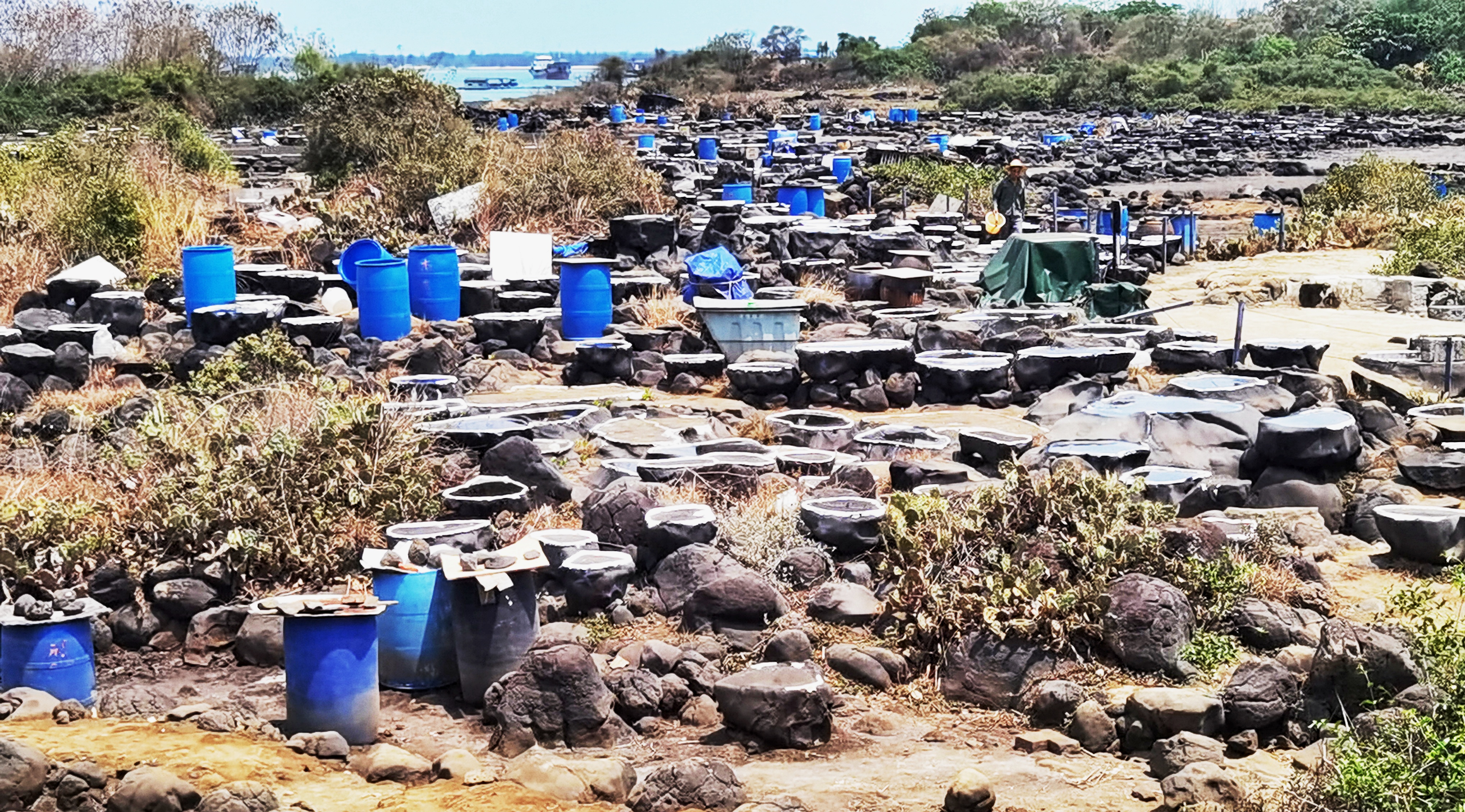 环海南岛之旅第十九站:千年古盐田