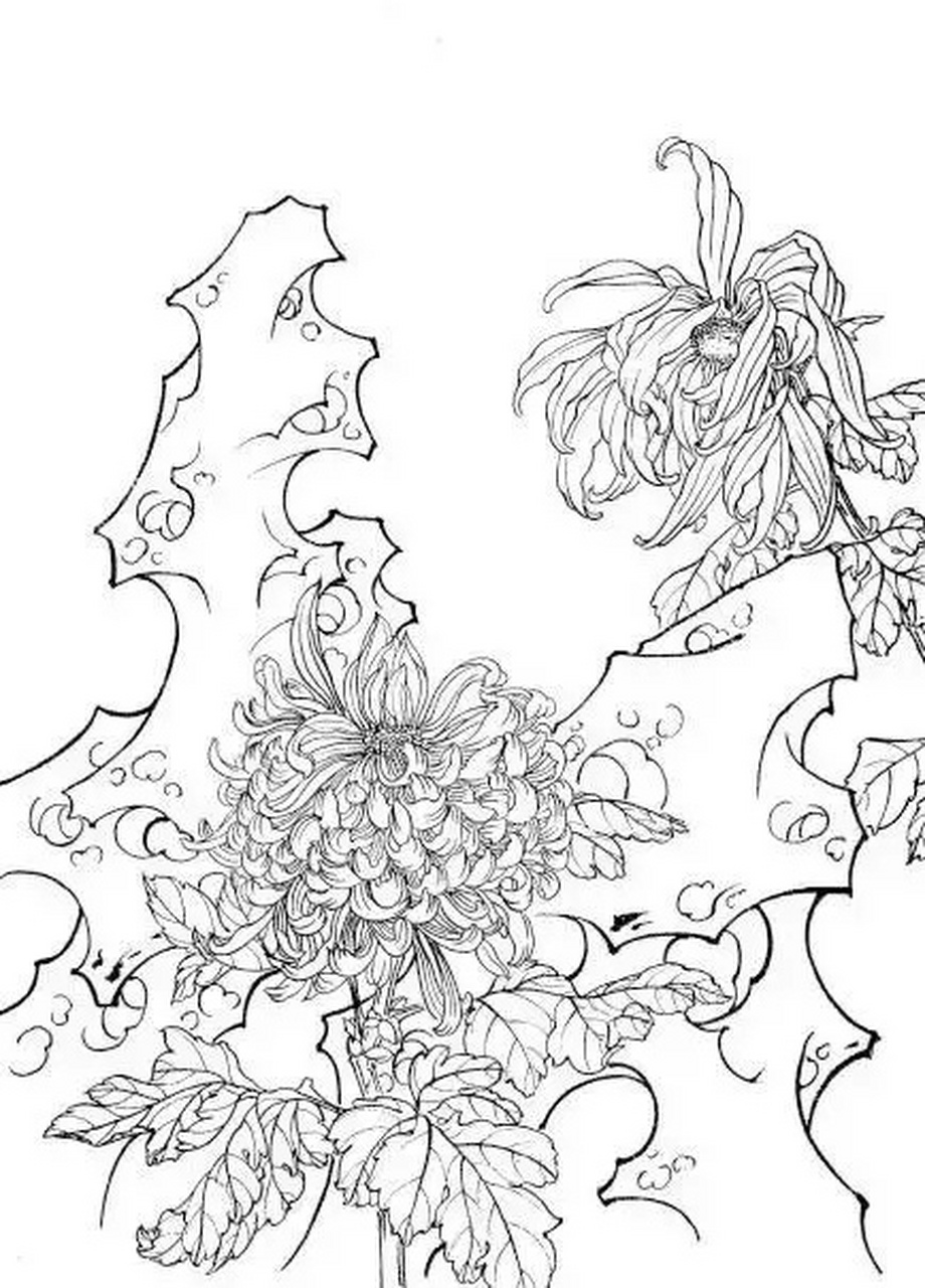 【中国画白描素描素材】#艺术