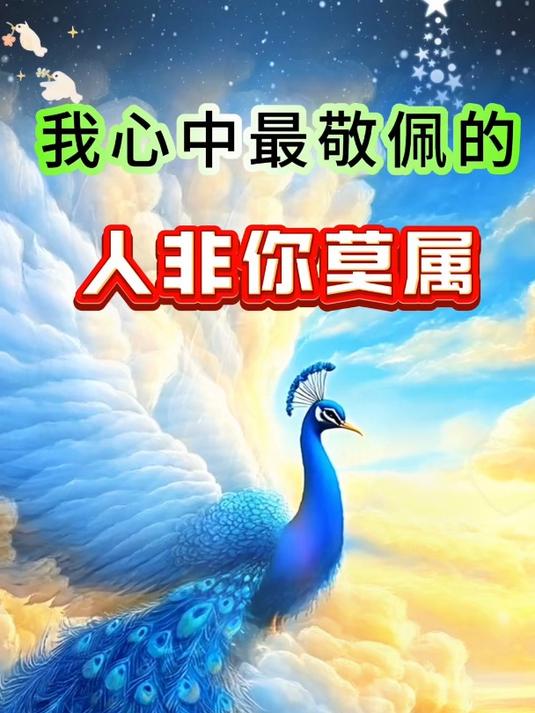 我心中最敬佩的人非你莫属