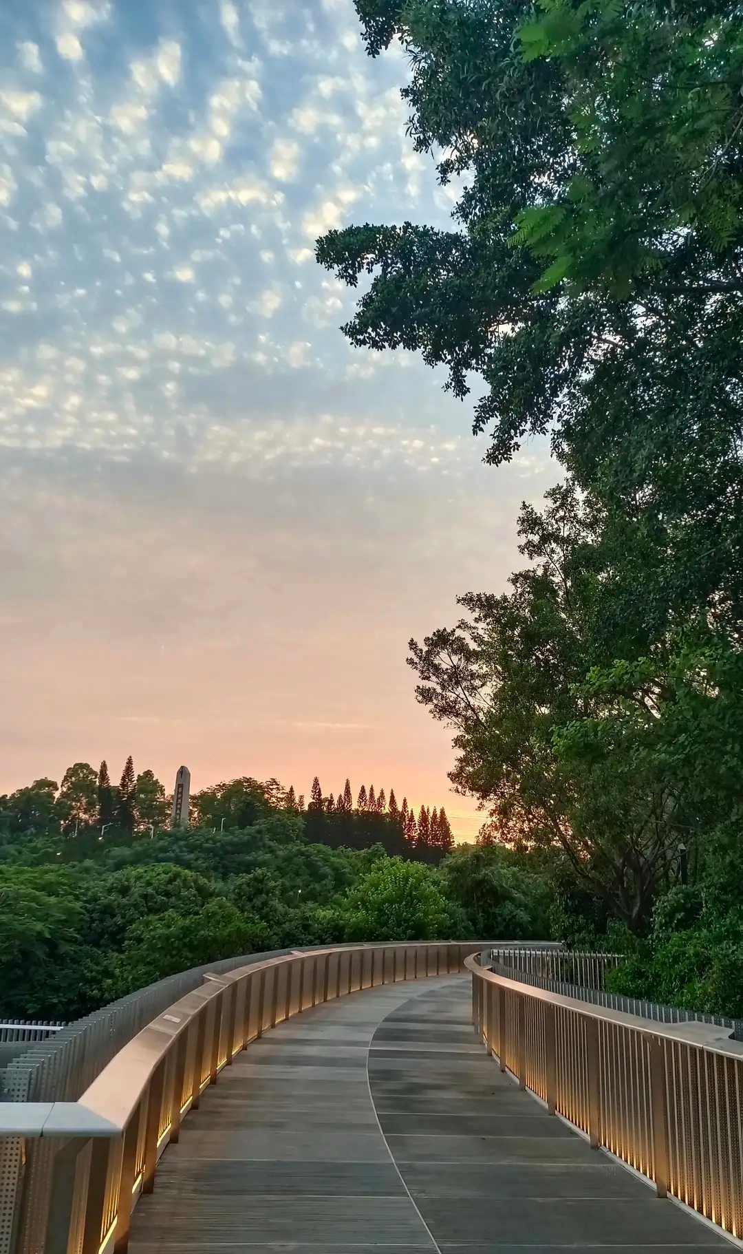 在深圳值得一去的免费公园推荐:观澜民法公园!