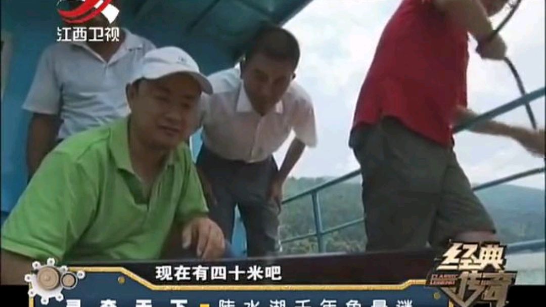 千年鱼:陡水湖惊现千年鱼,行踪诡异,专家出马解开秘密令人吃惊