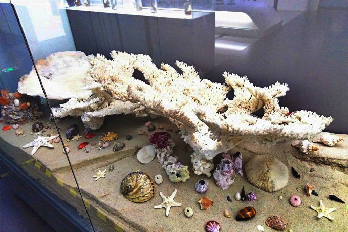 蛇口海洋博物馆