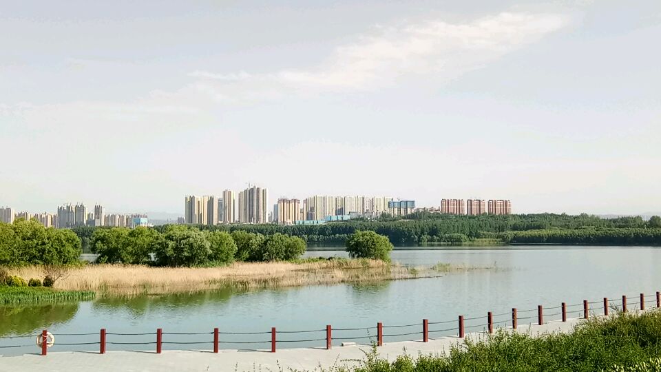 河南三门峡一道靓丽的风景线,天鹅湖,闹中取静,还真看到天鹅了