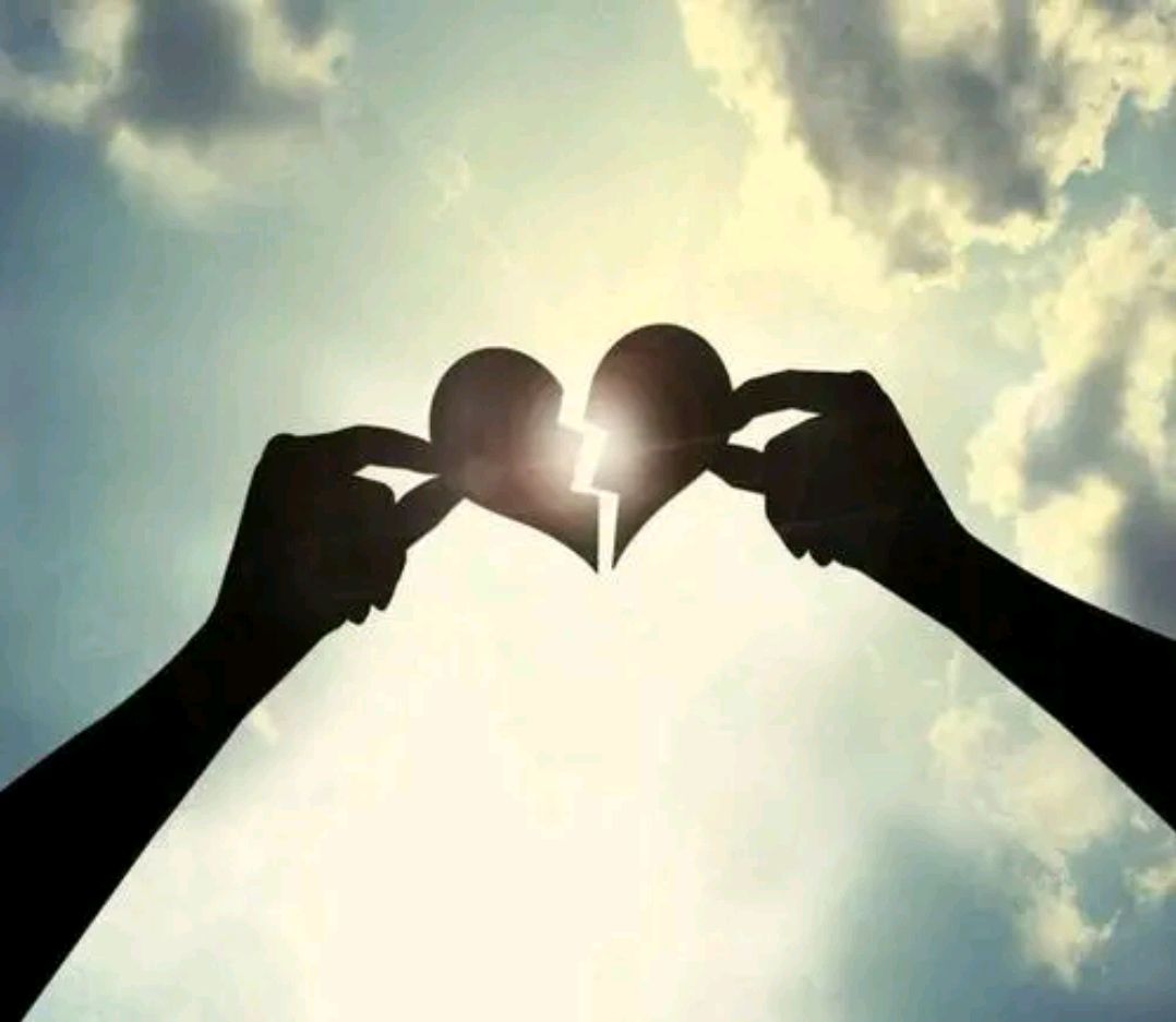 天性凉薄,不懂感恩之人无论你如何掏心掏肺都换不来她的真心