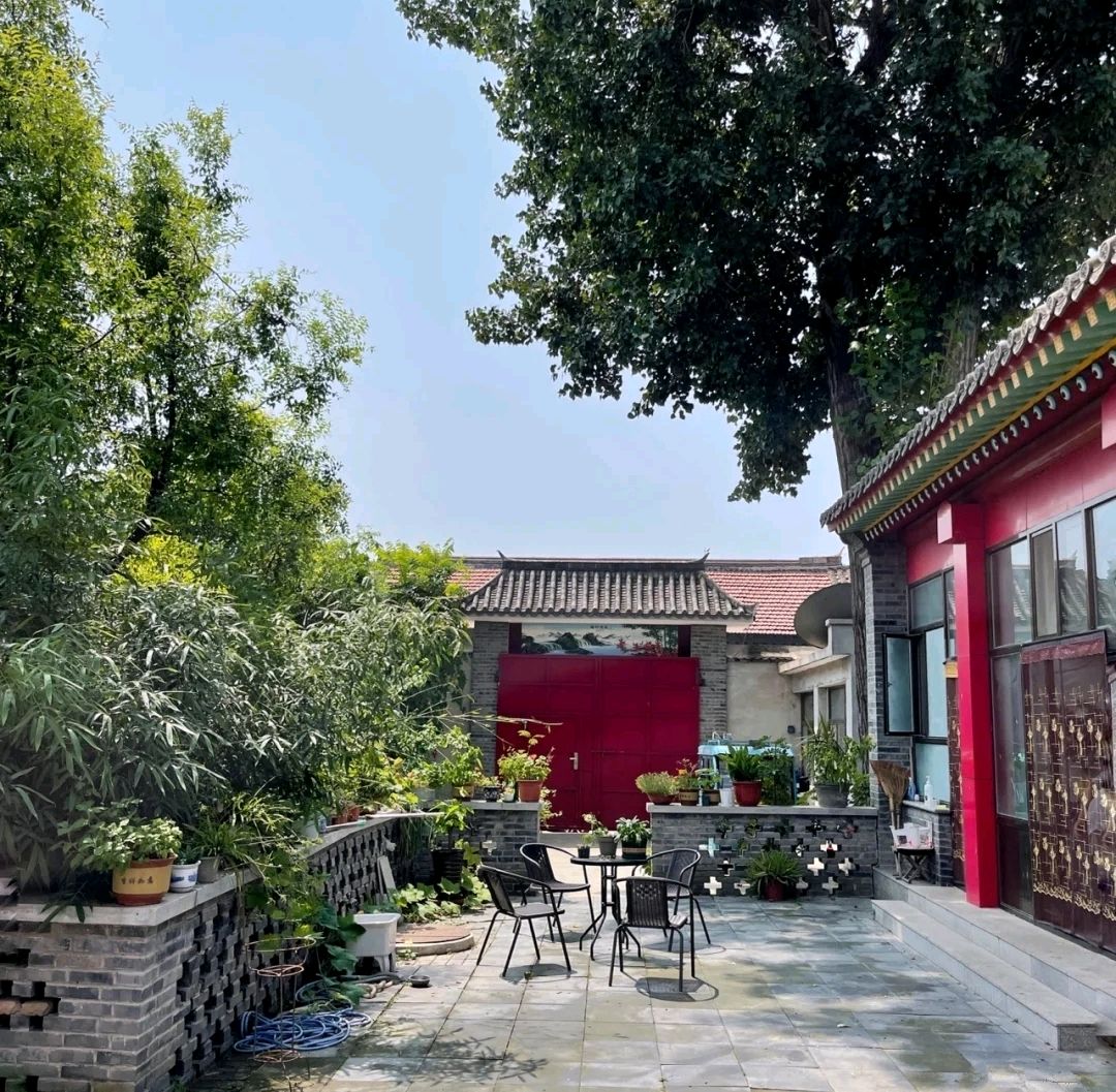 中年人的养生——在乡村小院里放空