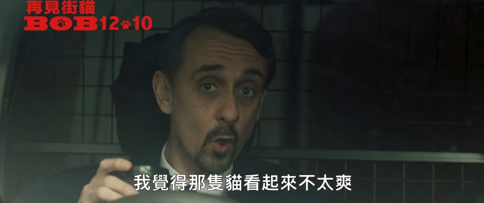 《再见街猫BOB》我这个人很简单，有猫能撸我就能活下去