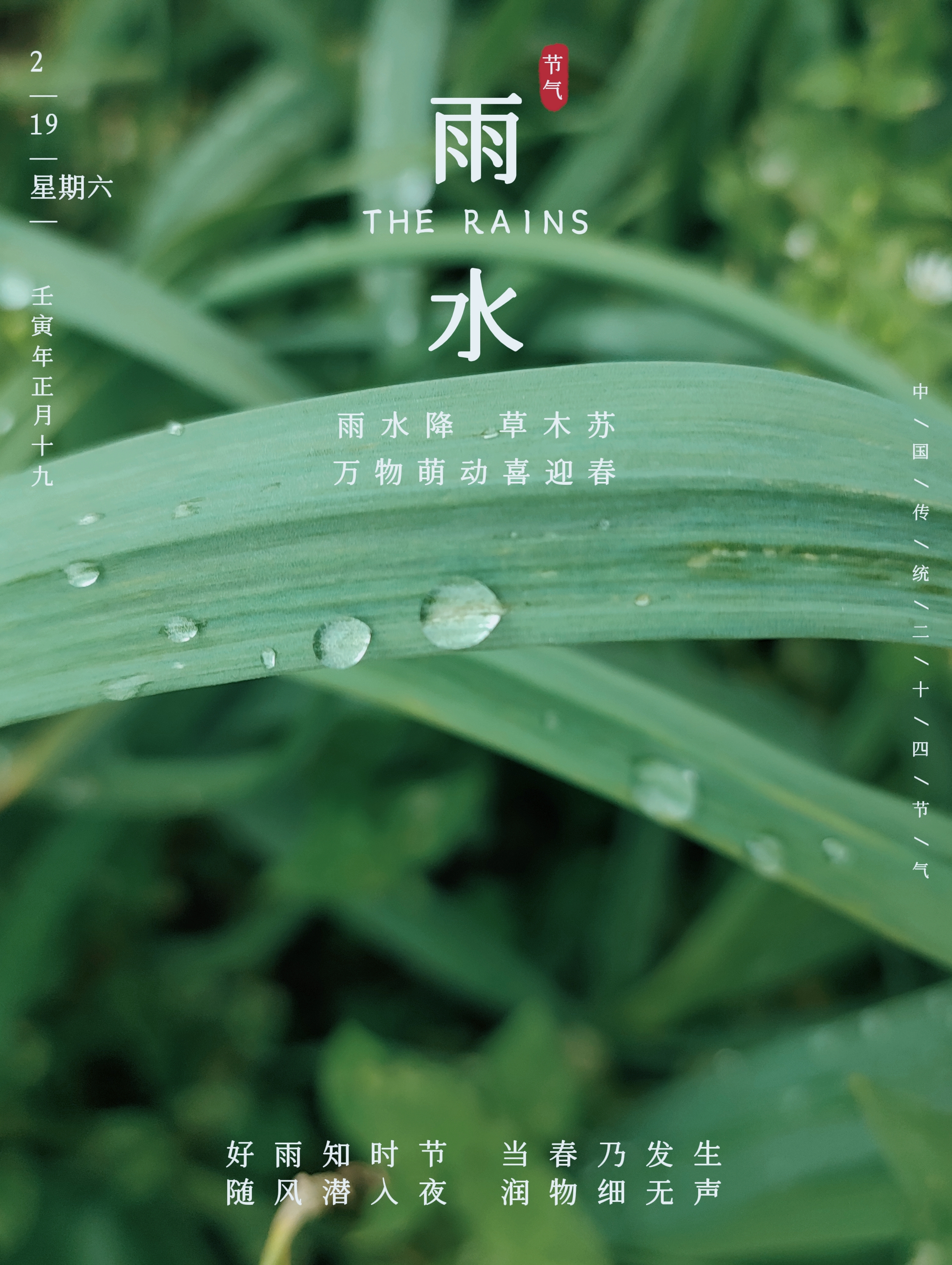 雨水节气的照片图片