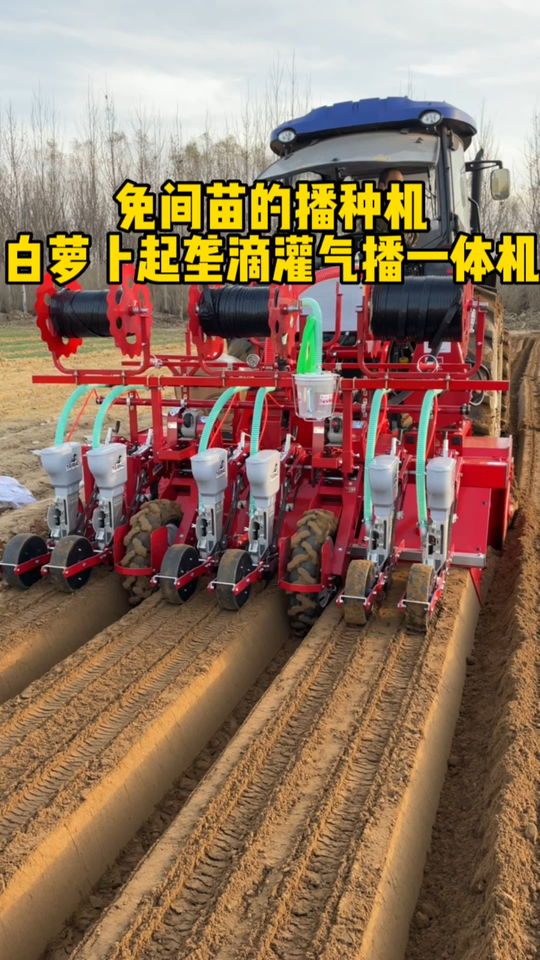 免间苗的白萝卜播种机