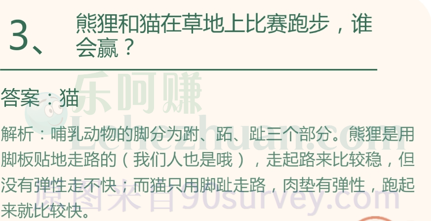 熊狸和猫在草地上比赛跑步，谁会赢？答案：猫