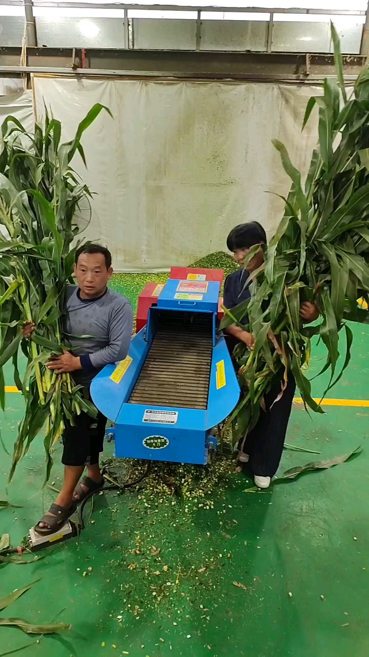 6.8吨卧式铡草揉丝一体机干湿两用长短可调