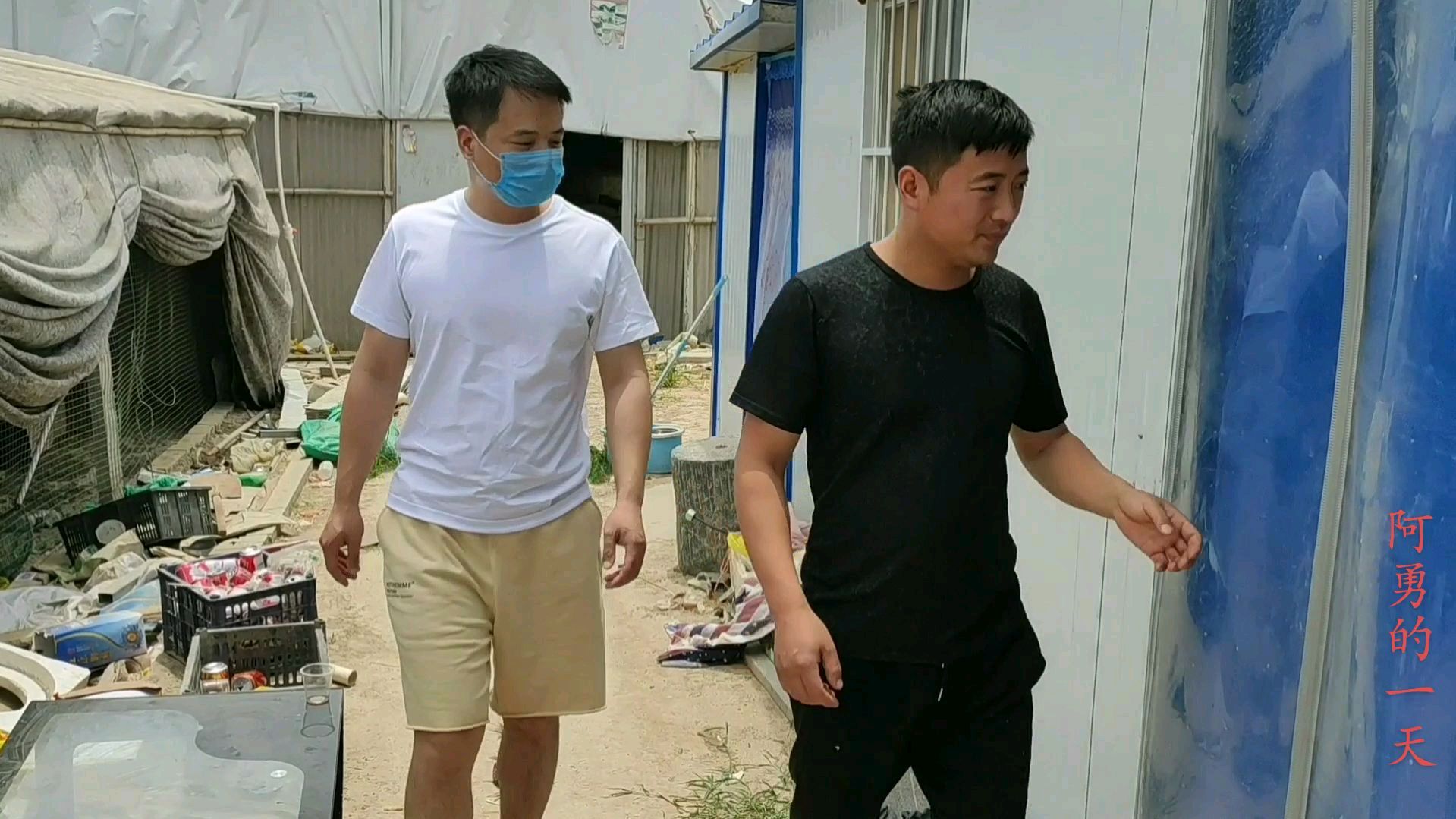 养殖山鸡要投入多少,八年山鸡养殖户分享经验