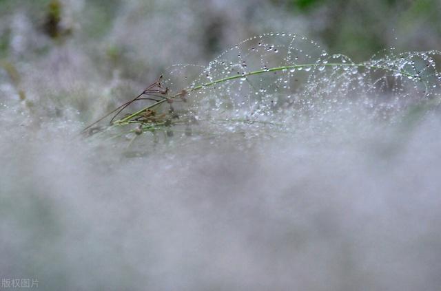 重生后被大佬宠上天