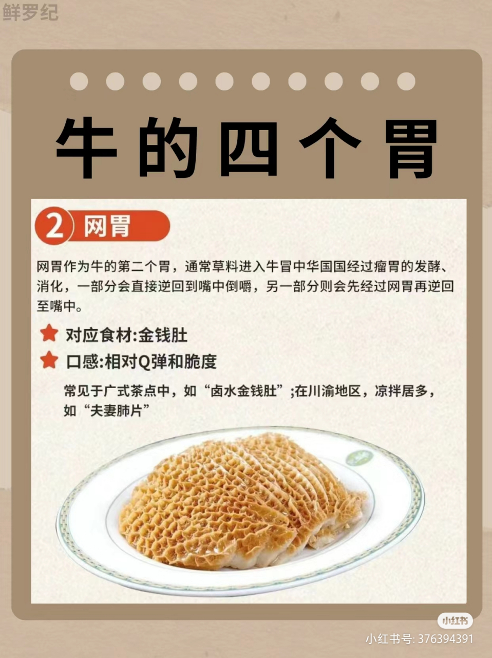 百科:牛的四个胃,通常我们的吃的牛百叶来自哪个胃,你知道吗?