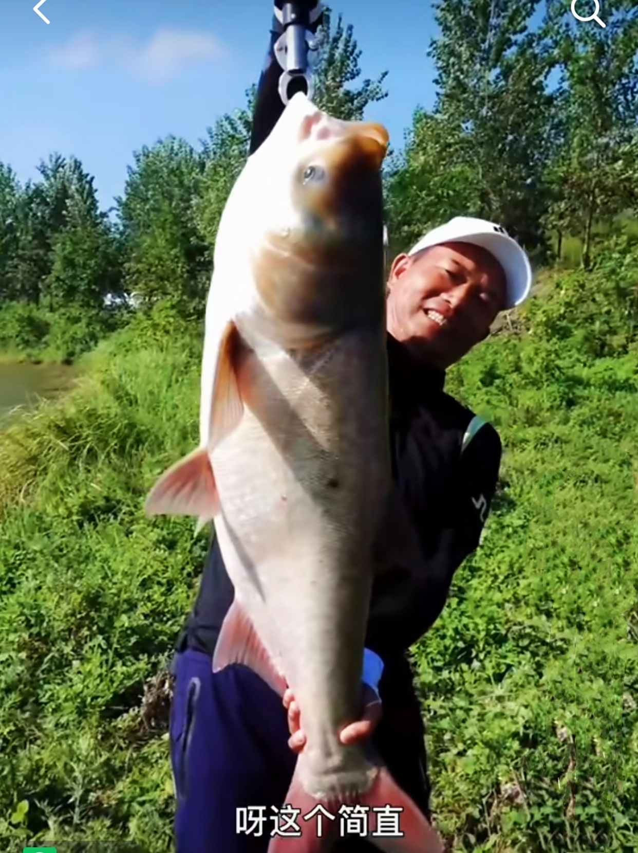 郑州一河道鲢鳙"泛滥"!钓友:邓刚快来挑战,半天能搞十几条