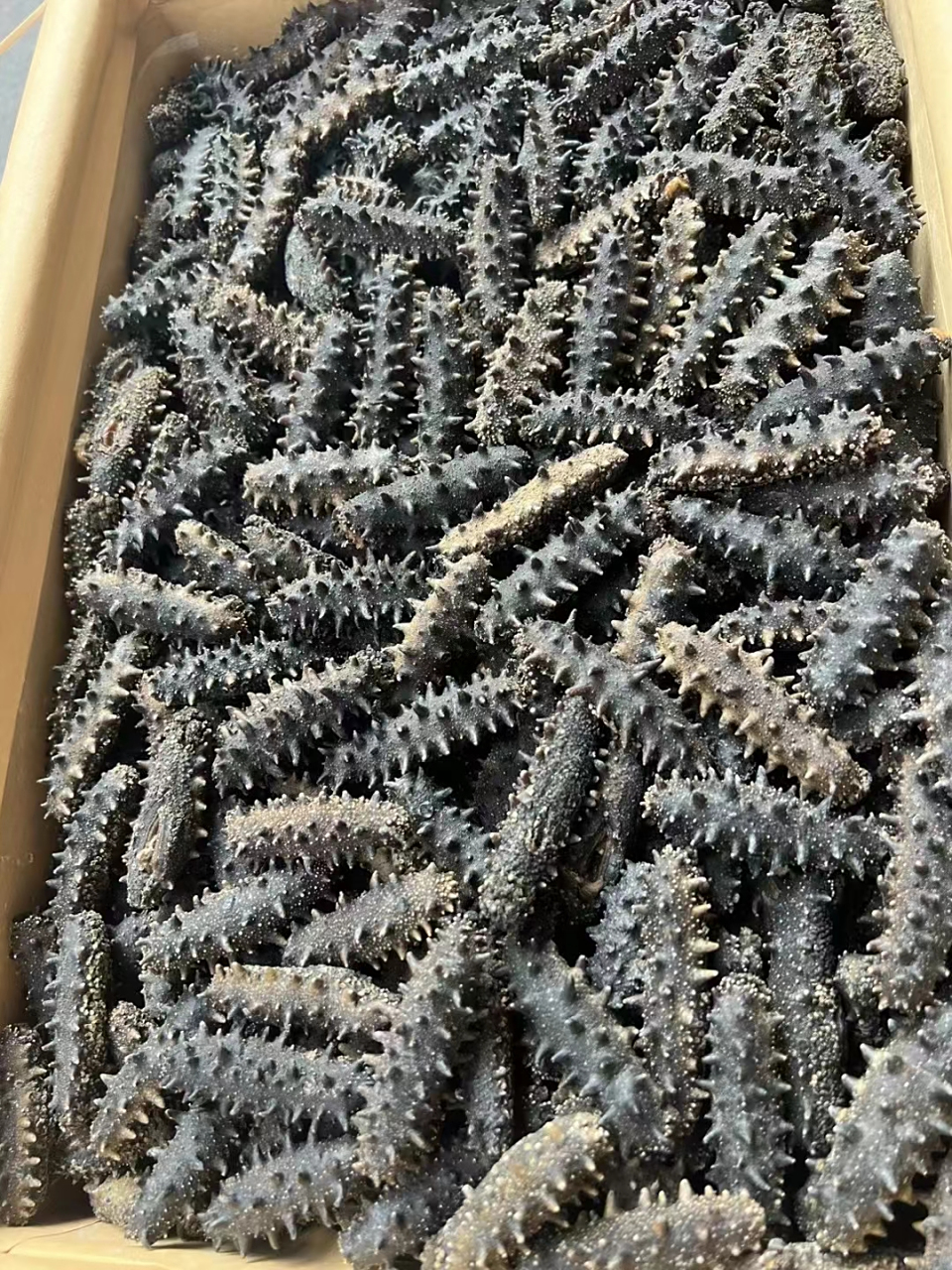 海参内筋被海参产区的渔民们称为"海龙丝",是海参的神经系统,吃海参的