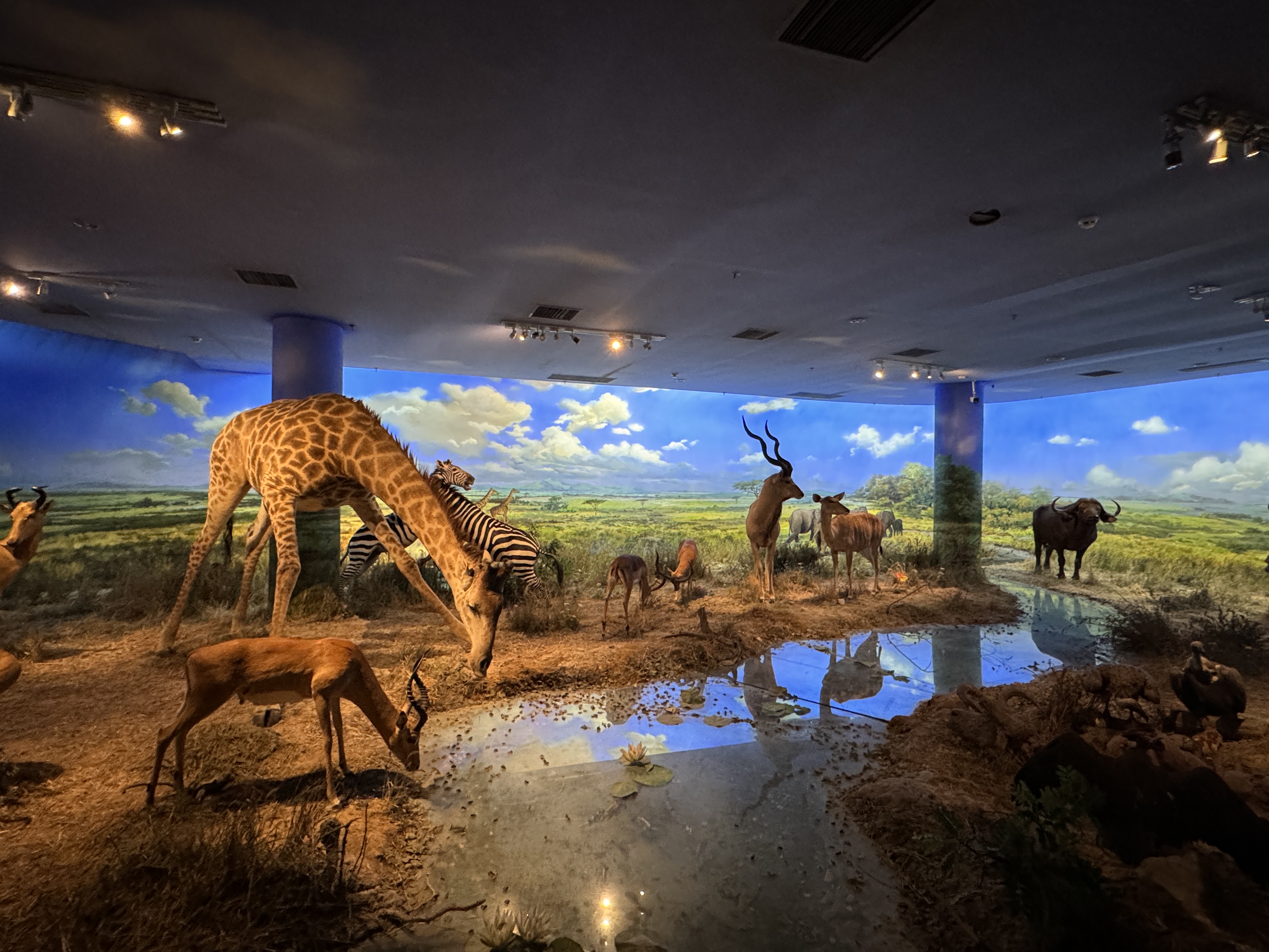 冬天就逛博物馆之——打卡大连自然博物馆