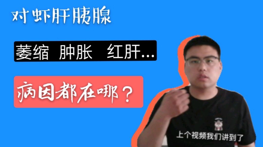 胆汁酸哪有吹的那么好?对虾肝胰腺发红发肿萎缩,真正的症结在这