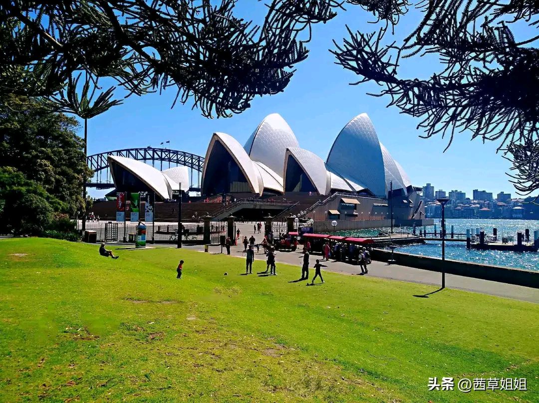 澳洲悉尼皇家植物园,闹市中的一片绿洲,是一个去了又想去的地方