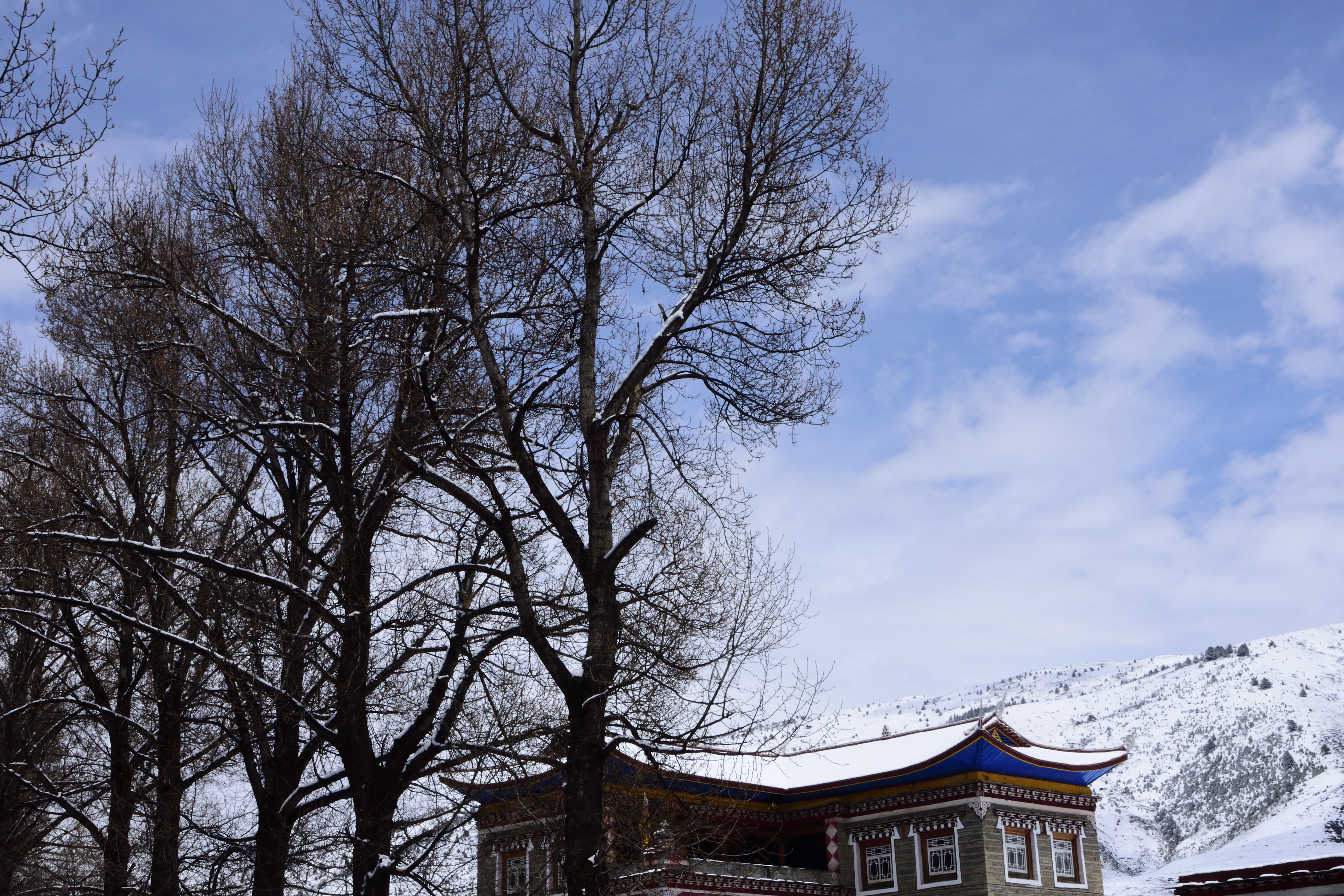 初夏冬雪天一甘孜新都桥