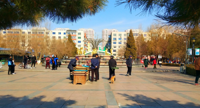 锦州儿童公园早已经变成老年公园了!曾经的少年已成为老人