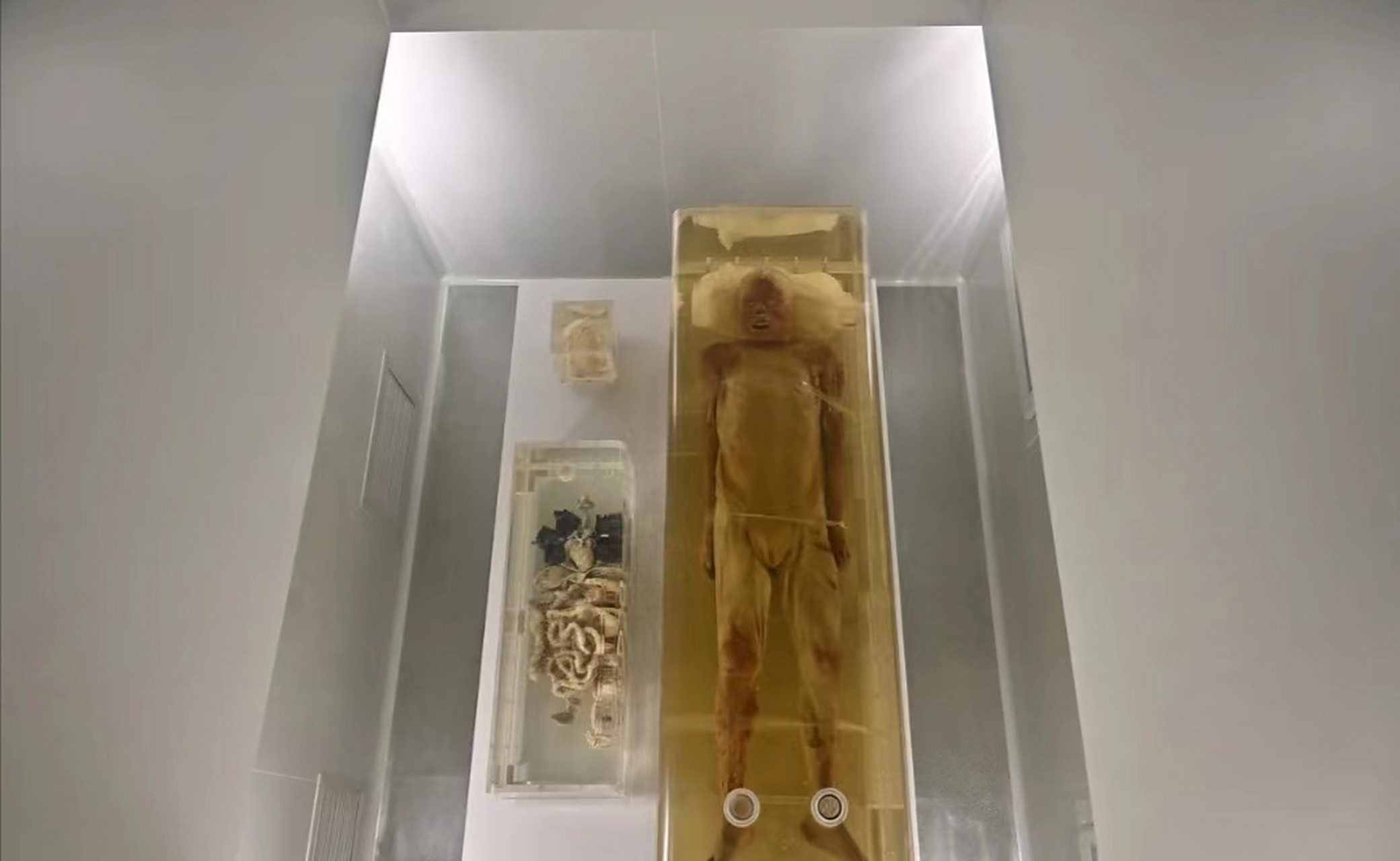 在湖北荆州的凤凰山168号汉墓,出土了一具来自2100多年前的西汉男尸