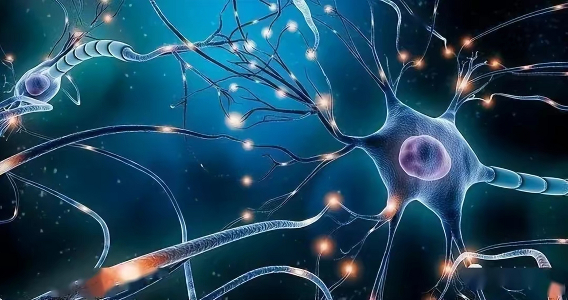 人类大脑还有个超牛逼的技能就是会遗忘大多数你身边不重要的事情