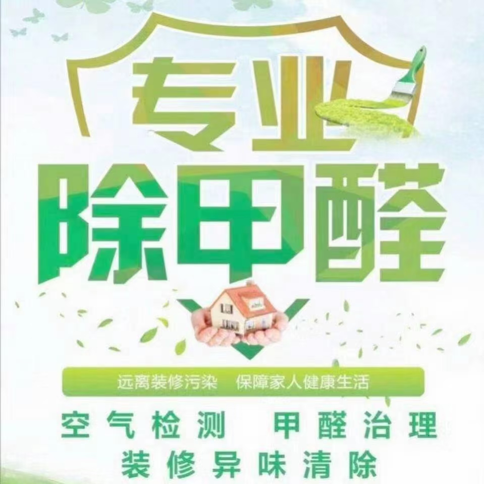 专业除甲醛